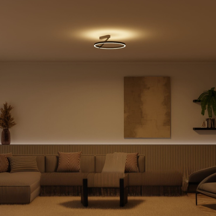 Moderne Runde LED-Deckenleuchte mit Ober- und Unterbeleuchtung