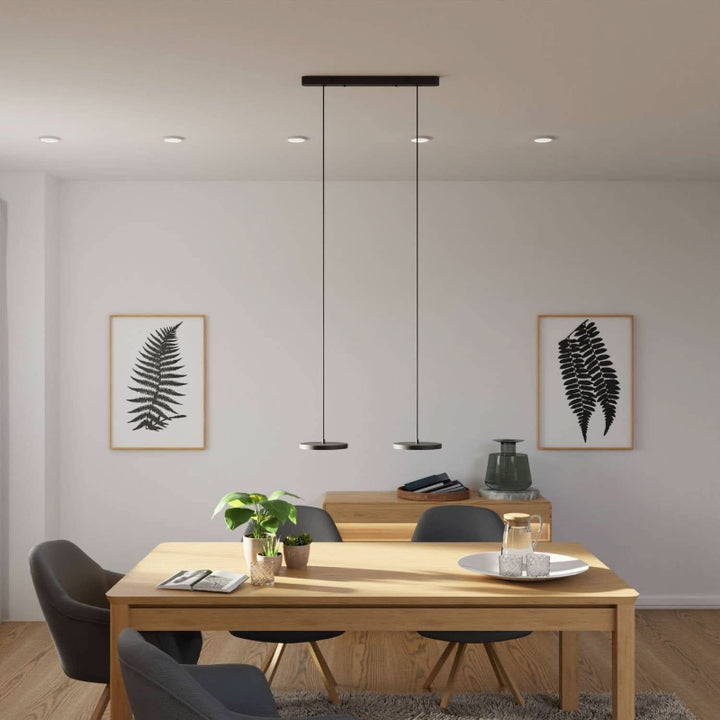 Pendant Lamp - Modern Plate-Shaped Design for Dining Room and Living Room Lighting 15