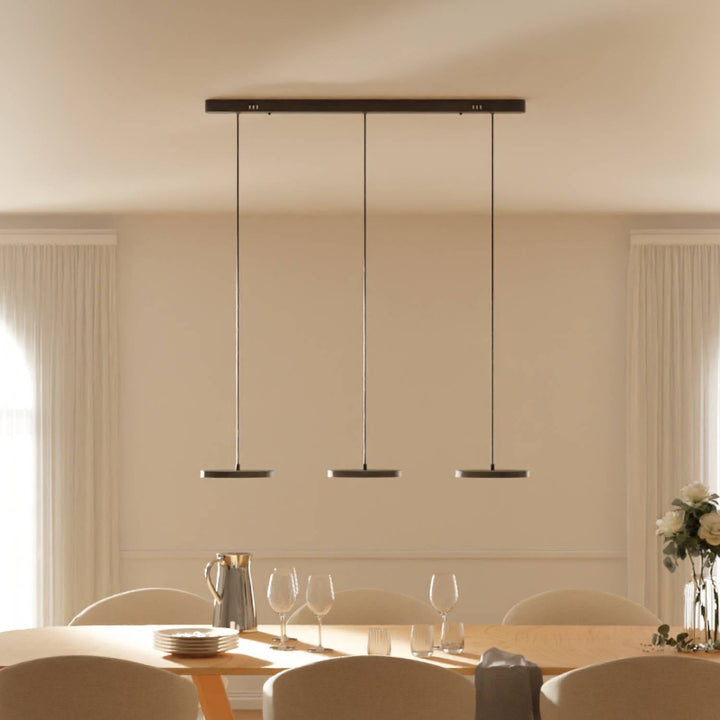 Pendant Lamp - Modern Plate-Shaped Design for Dining Room and Living Room Lighting 9